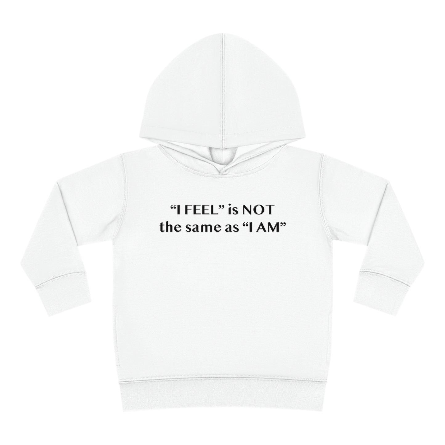 I Feel is Not the same as I Am Toddler Pullover Fleece Hoodie