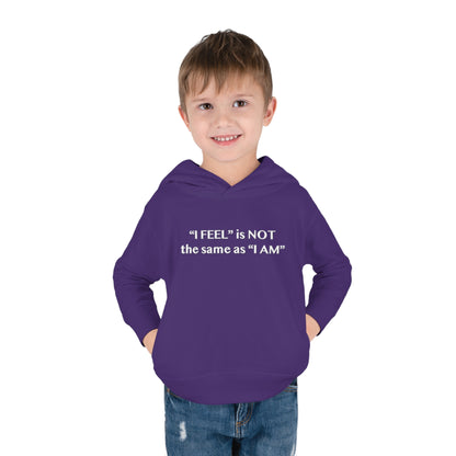 I Feel is Not the same as I Am Toddler Pullover Fleece Hoodie