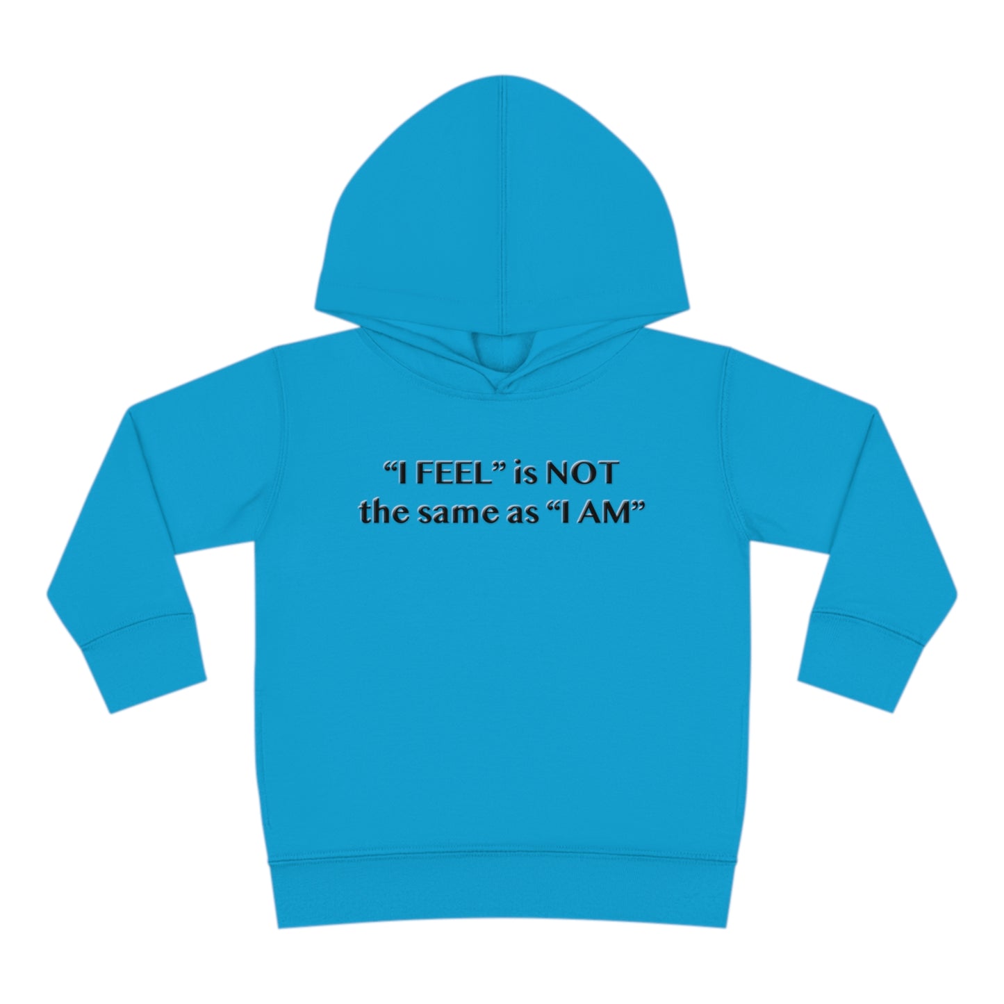 I Feel is Not the same as I Am Toddler Pullover Fleece Hoodie