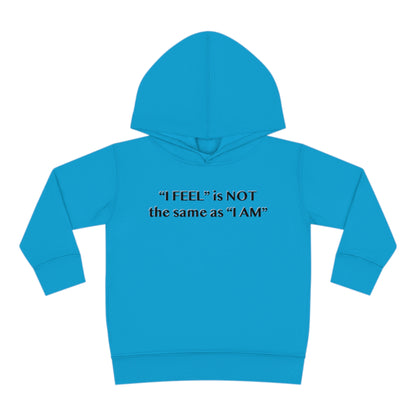 I Feel is Not the same as I Am Toddler Pullover Fleece Hoodie