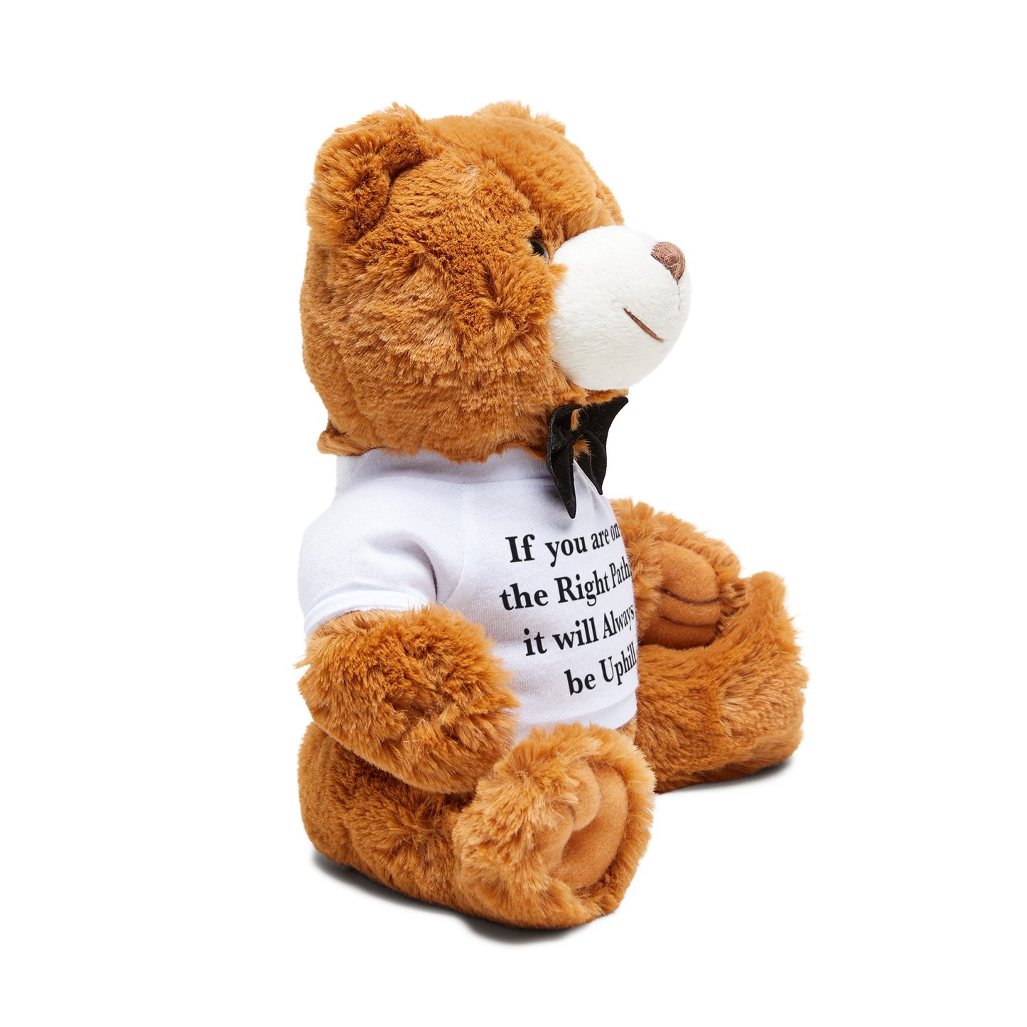 If You are on the Right Path it will Always be Uphill Teddy Bear with T-Shirt