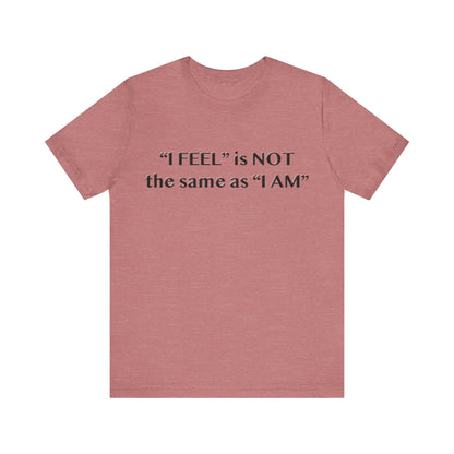 I Feel is Not the same as I Am T-Shirt