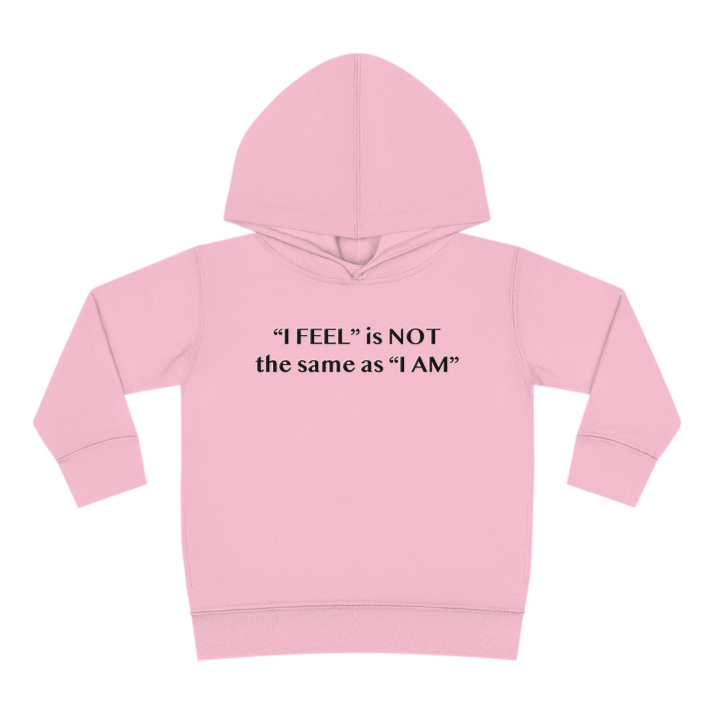 I Feel is Not the same as I Am Toddler Pullover Fleece Hoodie