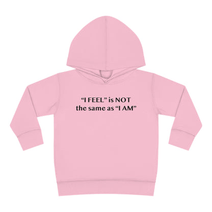 I Feel is Not the same as I Am Toddler Pullover Fleece Hoodie