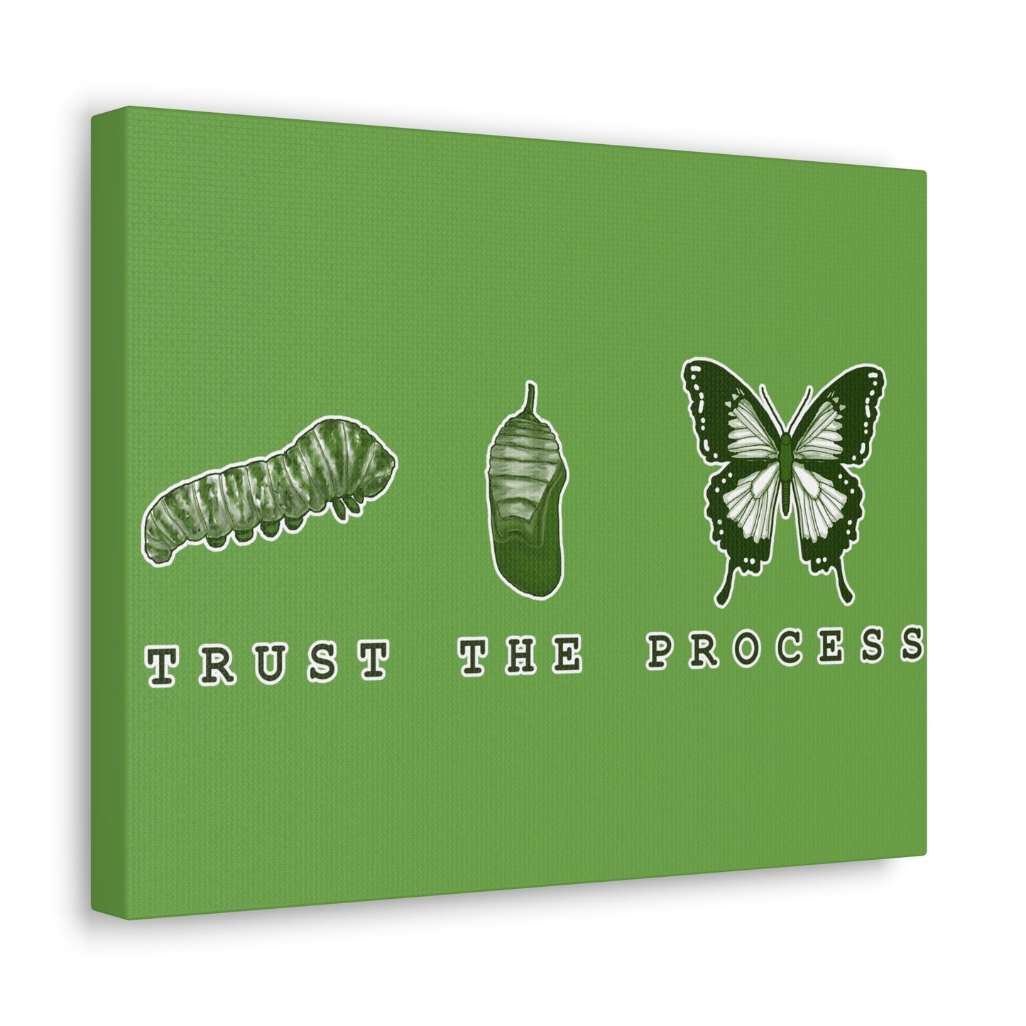 Trust The Process Canvas Gallery Wraps