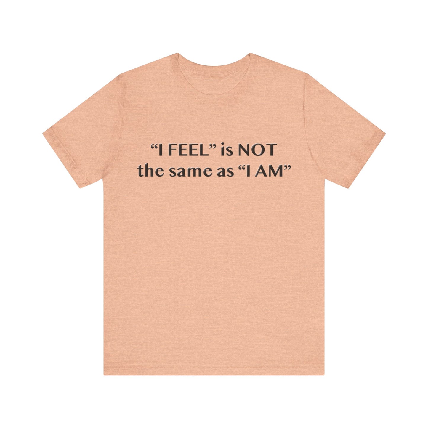 I Feel is Not the same as I Am T-Shirt