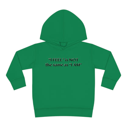 I Feel is Not the same as I Am Toddler Pullover Fleece Hoodie