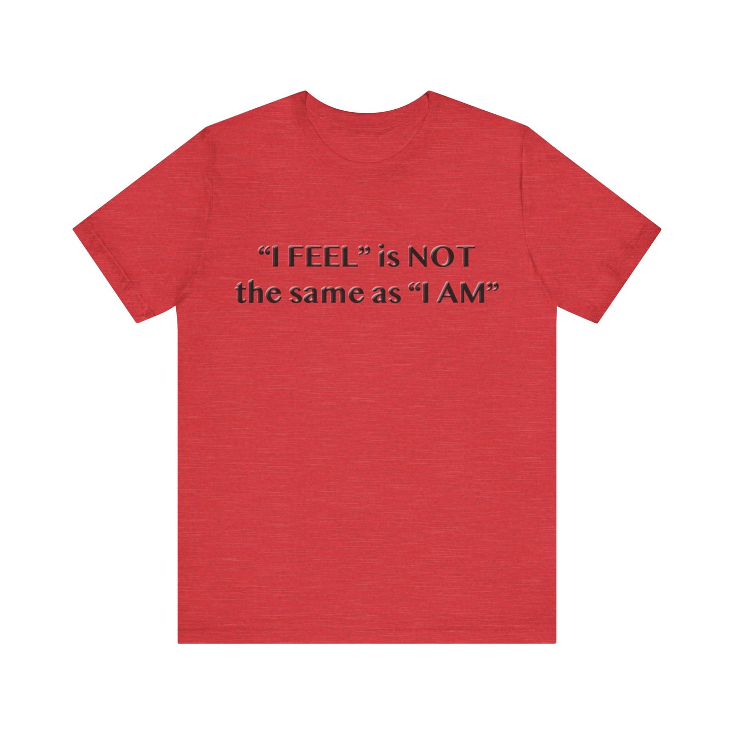 I Feel is Not the same as I Am T-Shirt