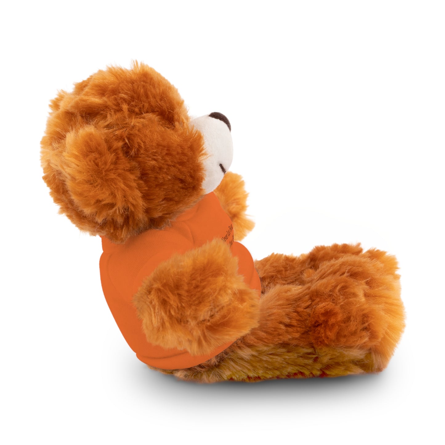 Never Let Fear Decide Your Future Stuffed Animals with Tee