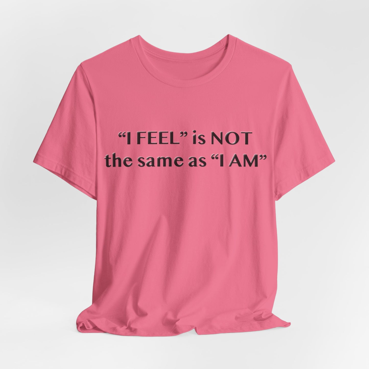 I Feel is Not the same as I Am T-Shirt