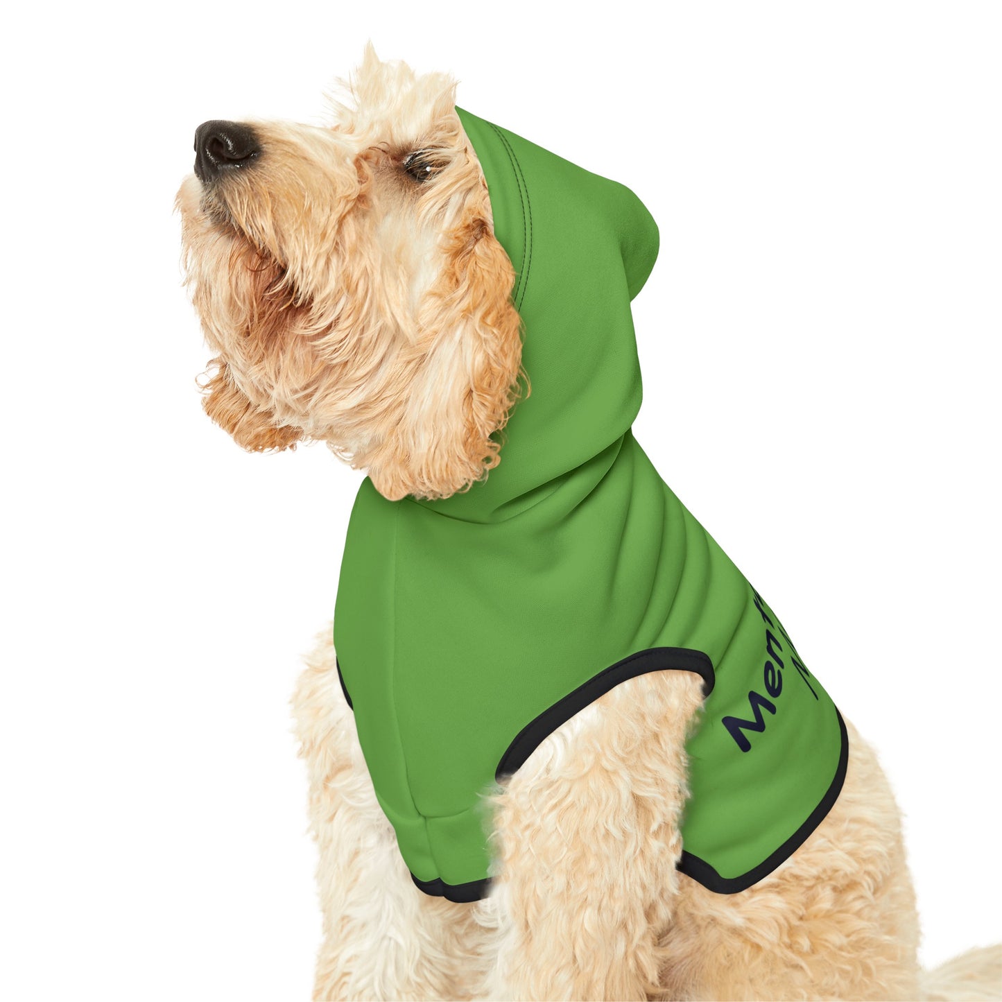 Mental Health Matters Pet Hoodie