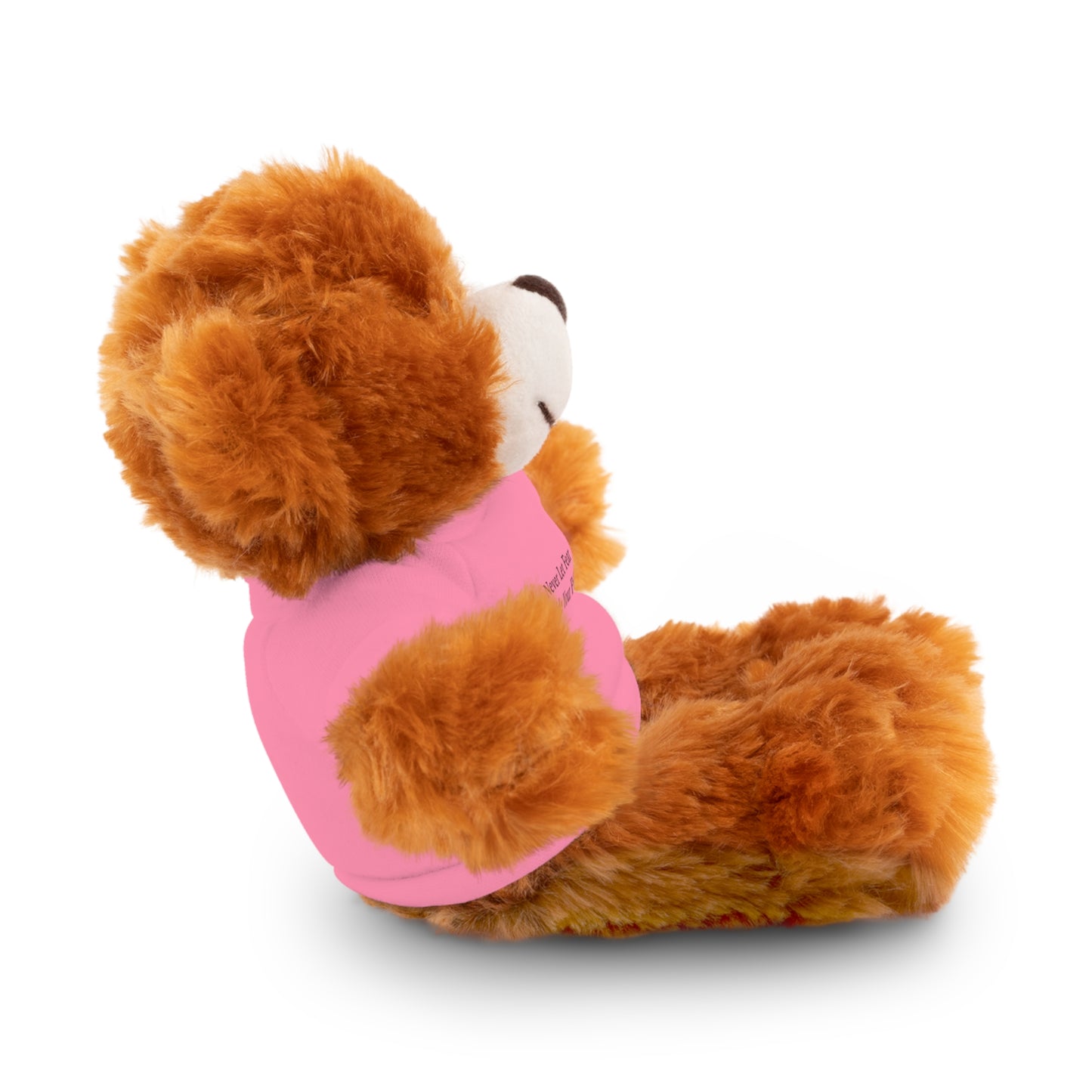 Never Let Fear Decide Your Future Stuffed Animals with Tee