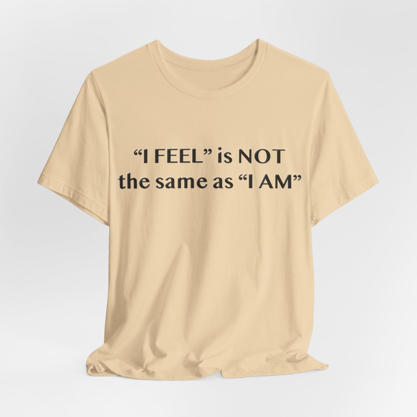 I Feel is Not the same as I Am T-Shirt