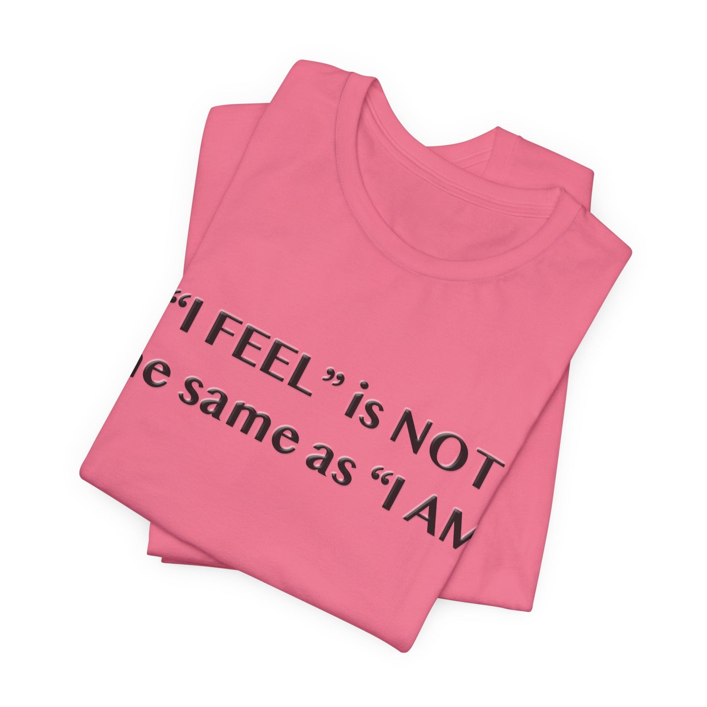 I Feel is Not the same as I Am T-Shirt