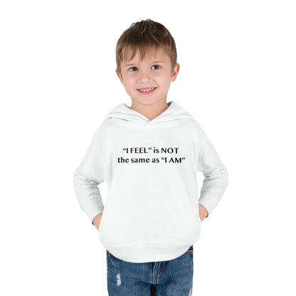 I Feel is Not the same as I Am Toddler Pullover Fleece Hoodie