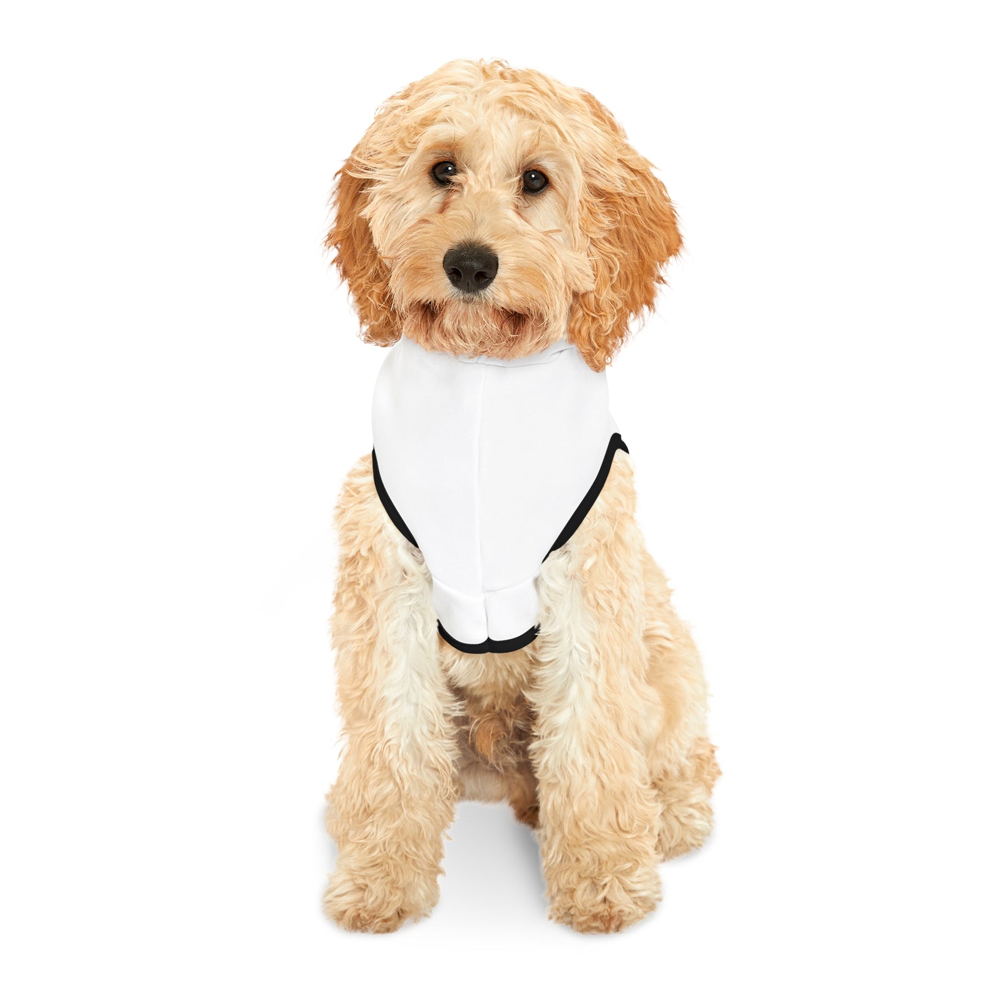 Semi-Colon L;ve Pet Hoodie