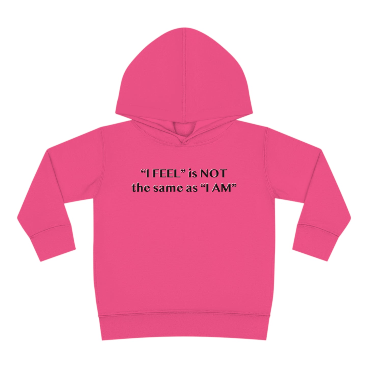 I Feel is Not the same as I Am Toddler Pullover Fleece Hoodie