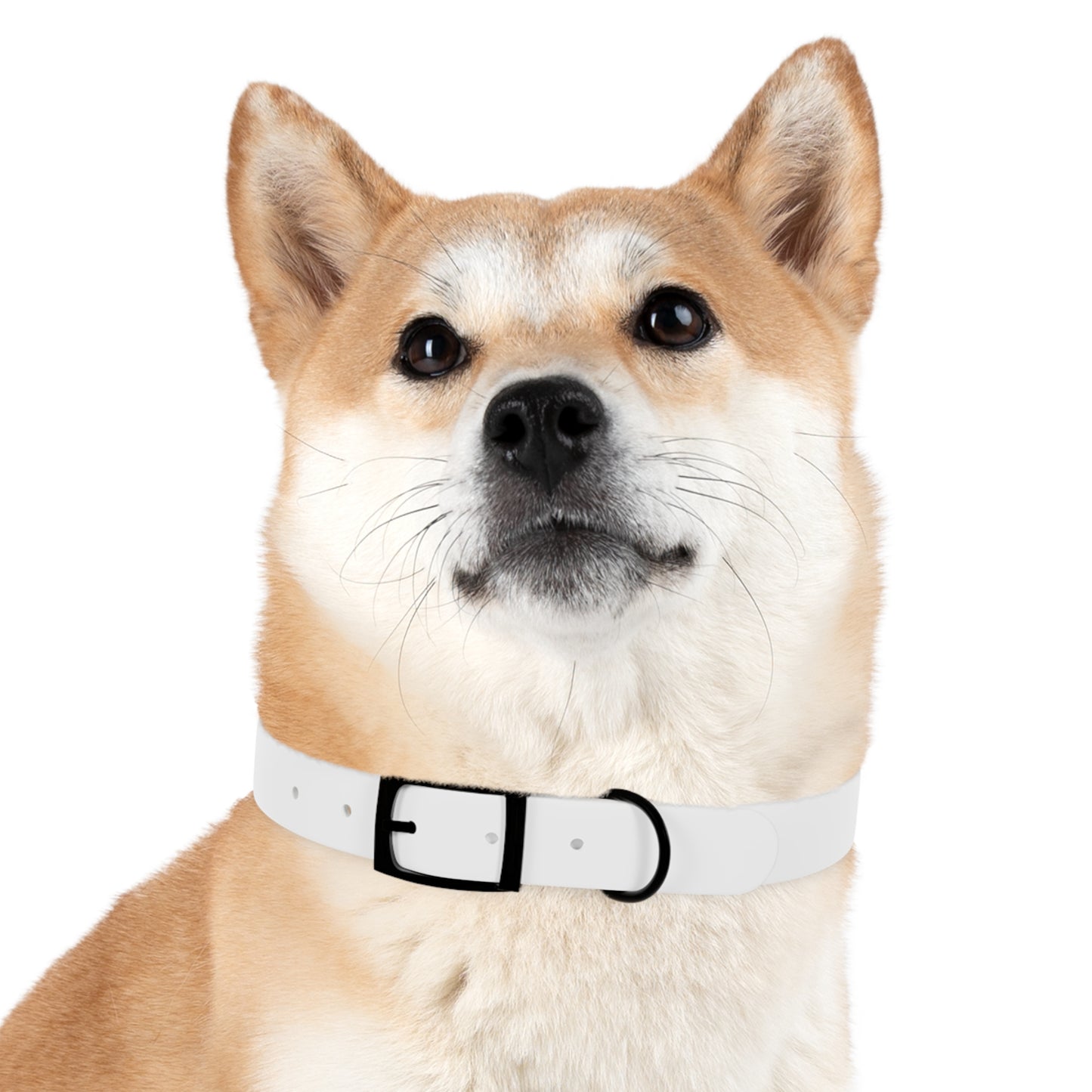 Think Celestial Dog Collar