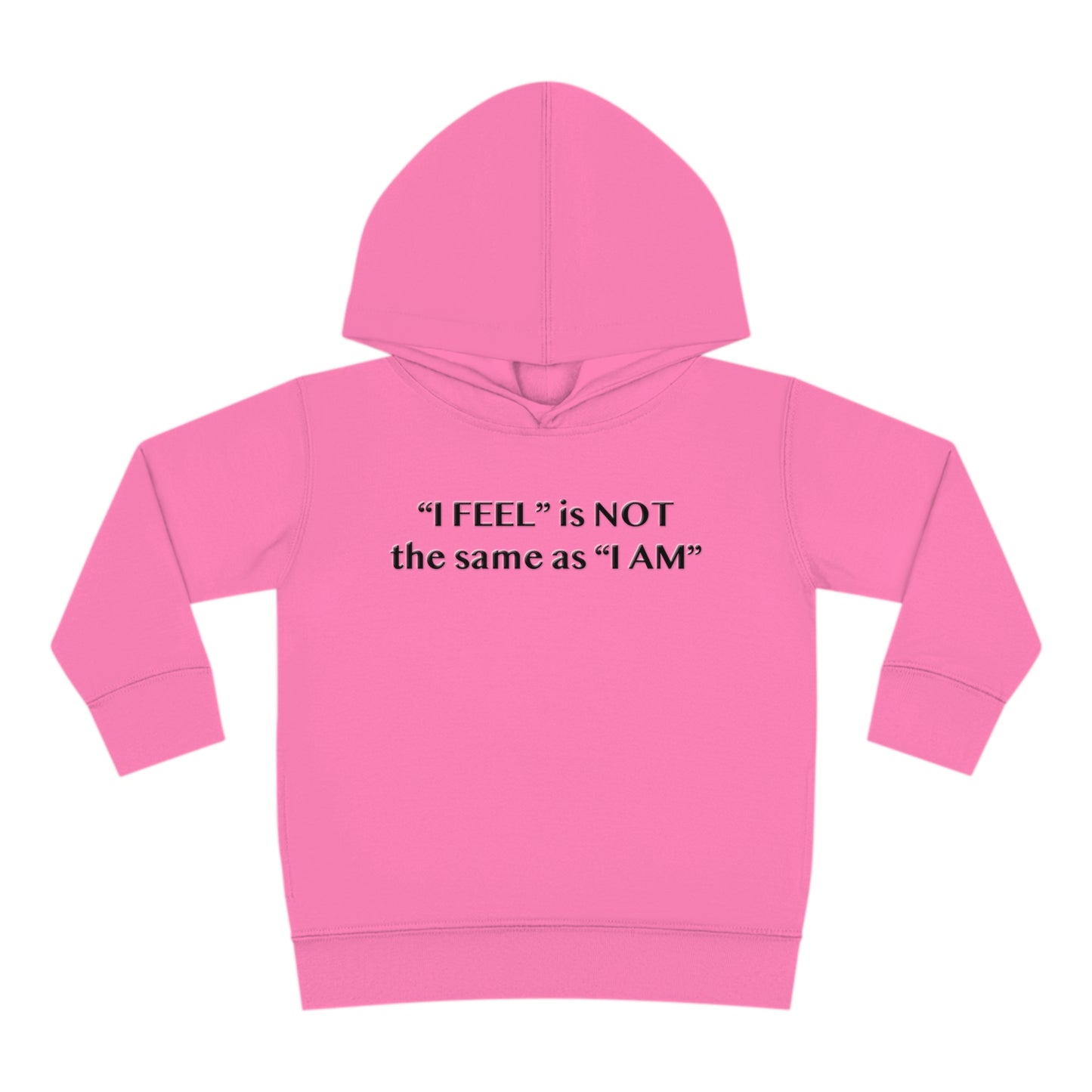 I Feel is Not the same as I Am Toddler Pullover Fleece Hoodie