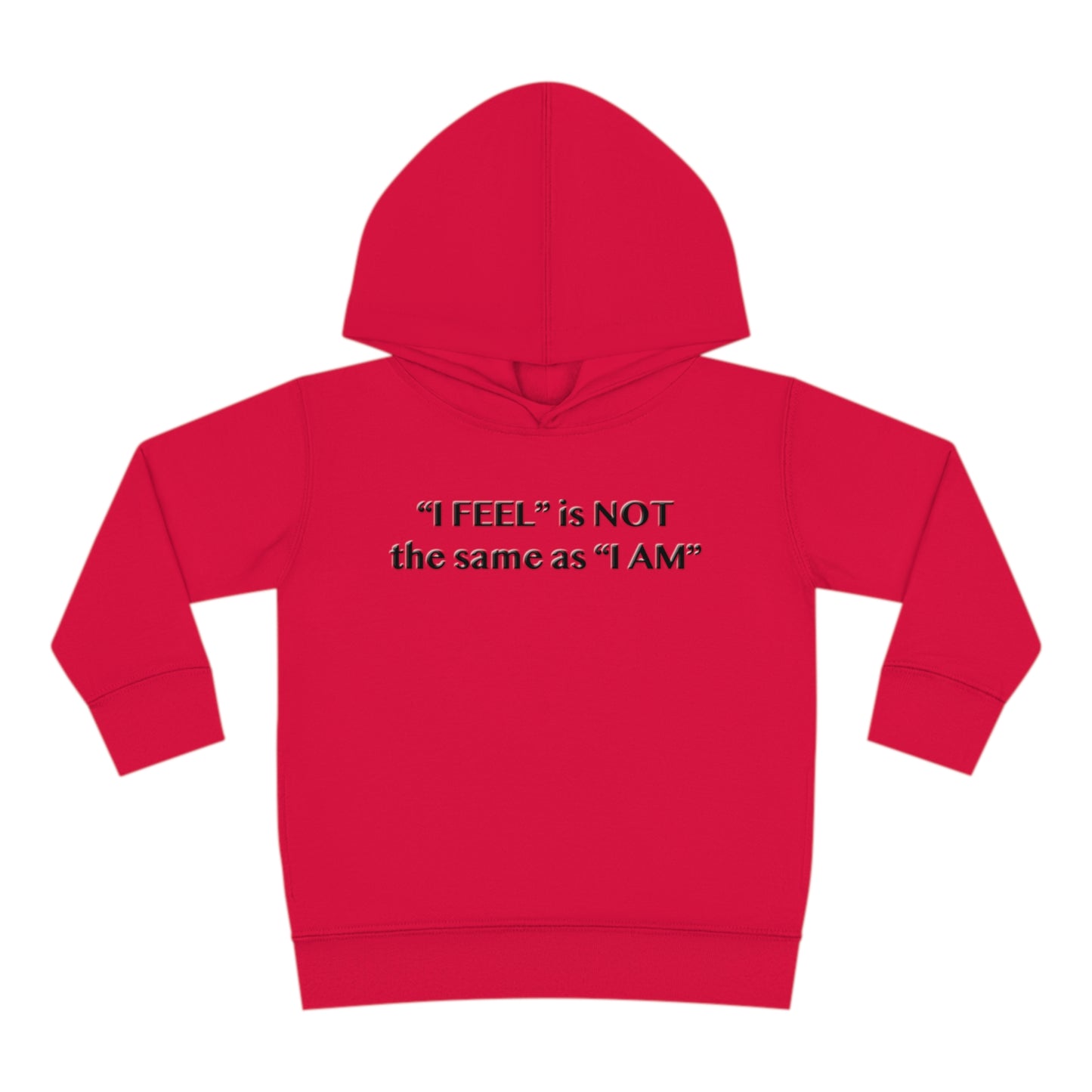 I Feel is Not the same as I Am Toddler Pullover Fleece Hoodie