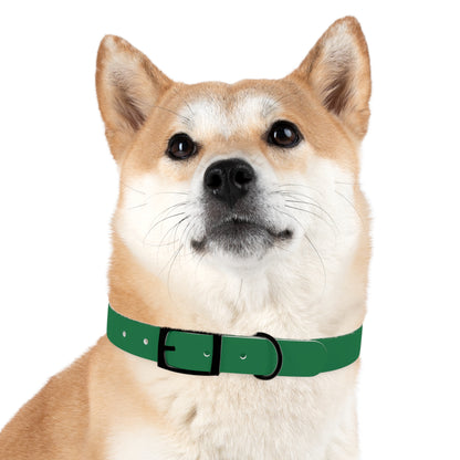 Mental Health Matters Dog Collar