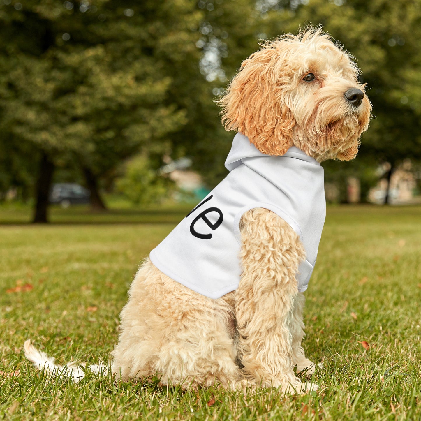 Semi-Colon L;ve Pet Hoodie