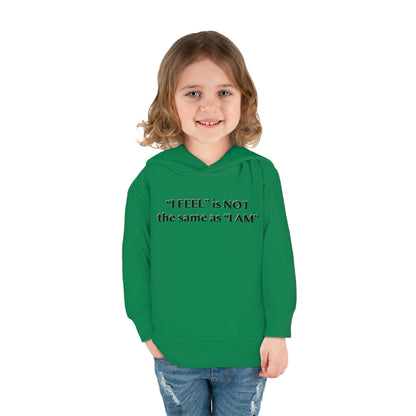 I Feel is Not the same as I Am Toddler Pullover Fleece Hoodie