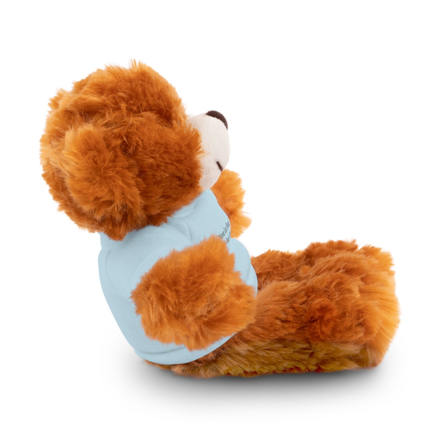 Never Let Fear Decide Your Future Stuffed Animals with Tee