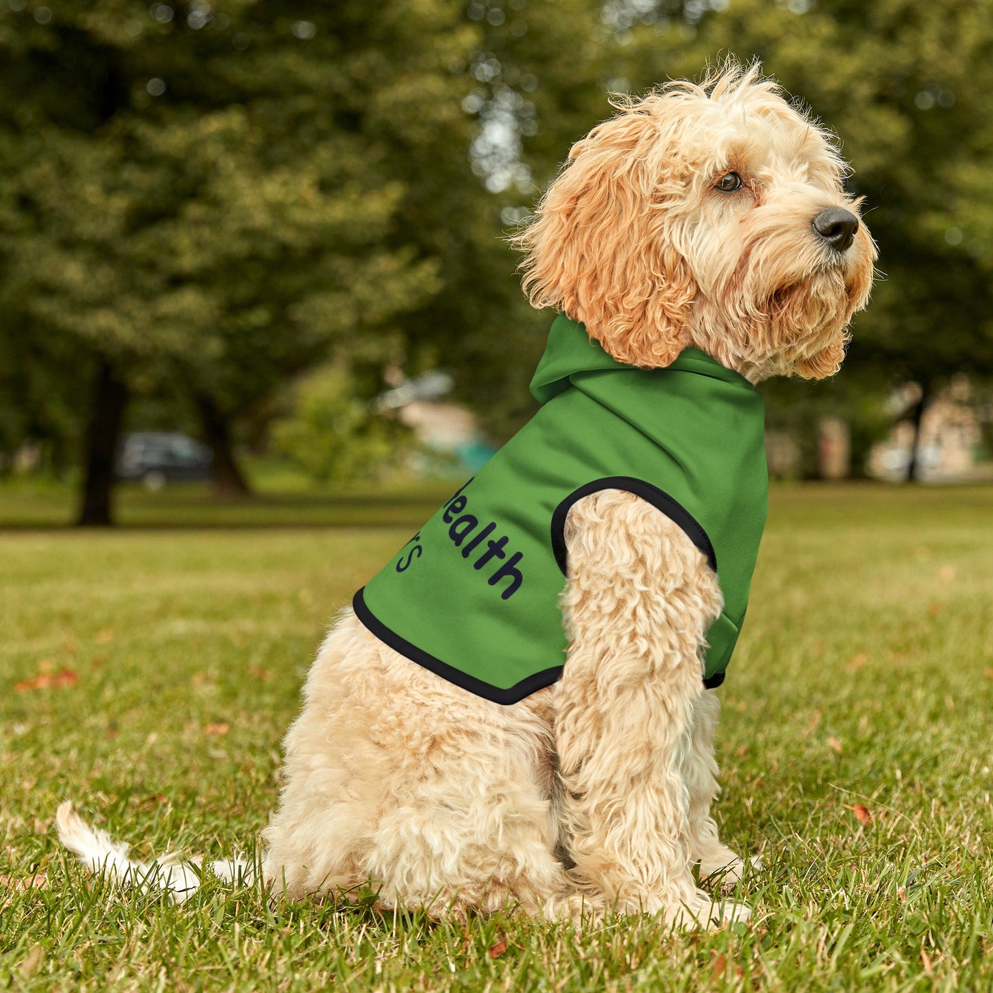 Mental Health Matters Pet Hoodie