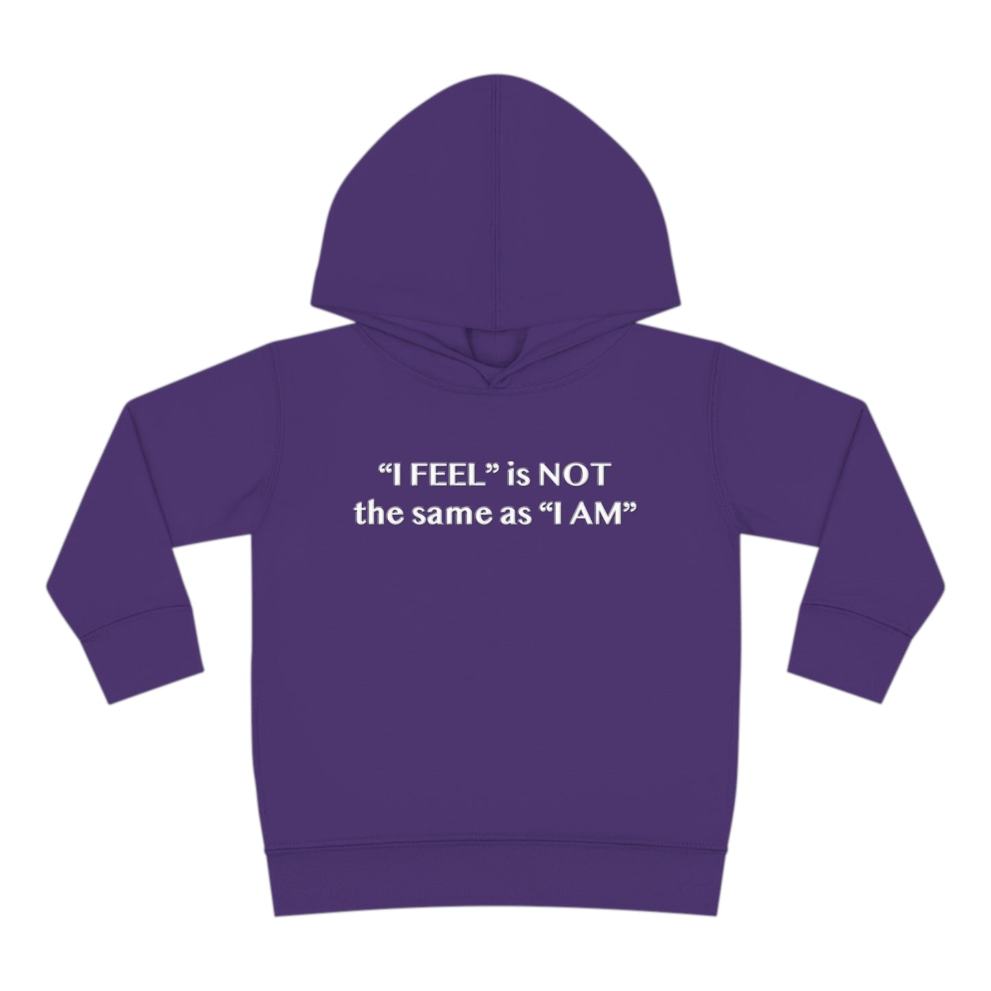 I Feel is Not the same as I Am Toddler Pullover Fleece Hoodie