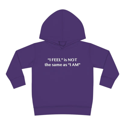 I Feel is Not the same as I Am Toddler Pullover Fleece Hoodie