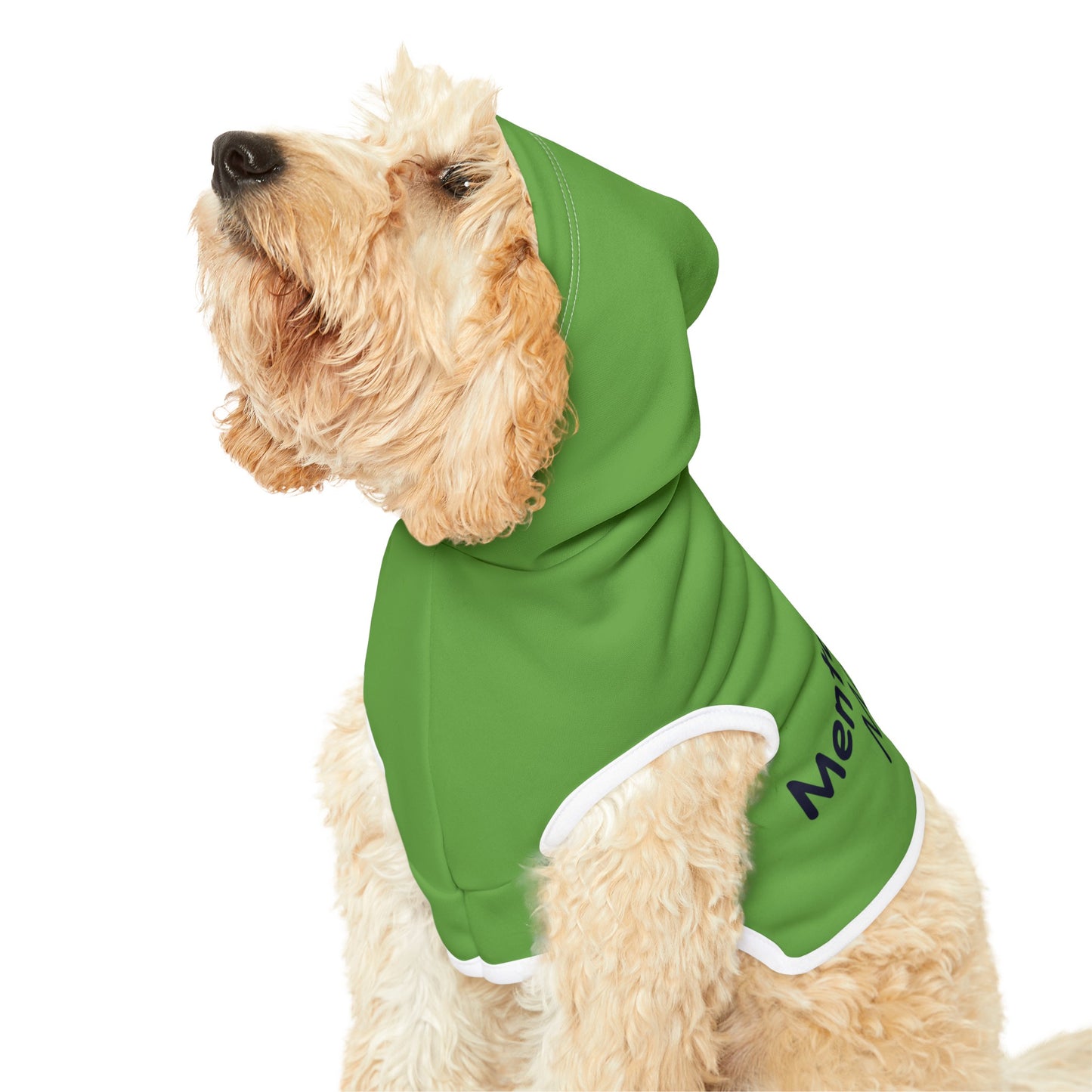 Mental Health Matters Pet Hoodie