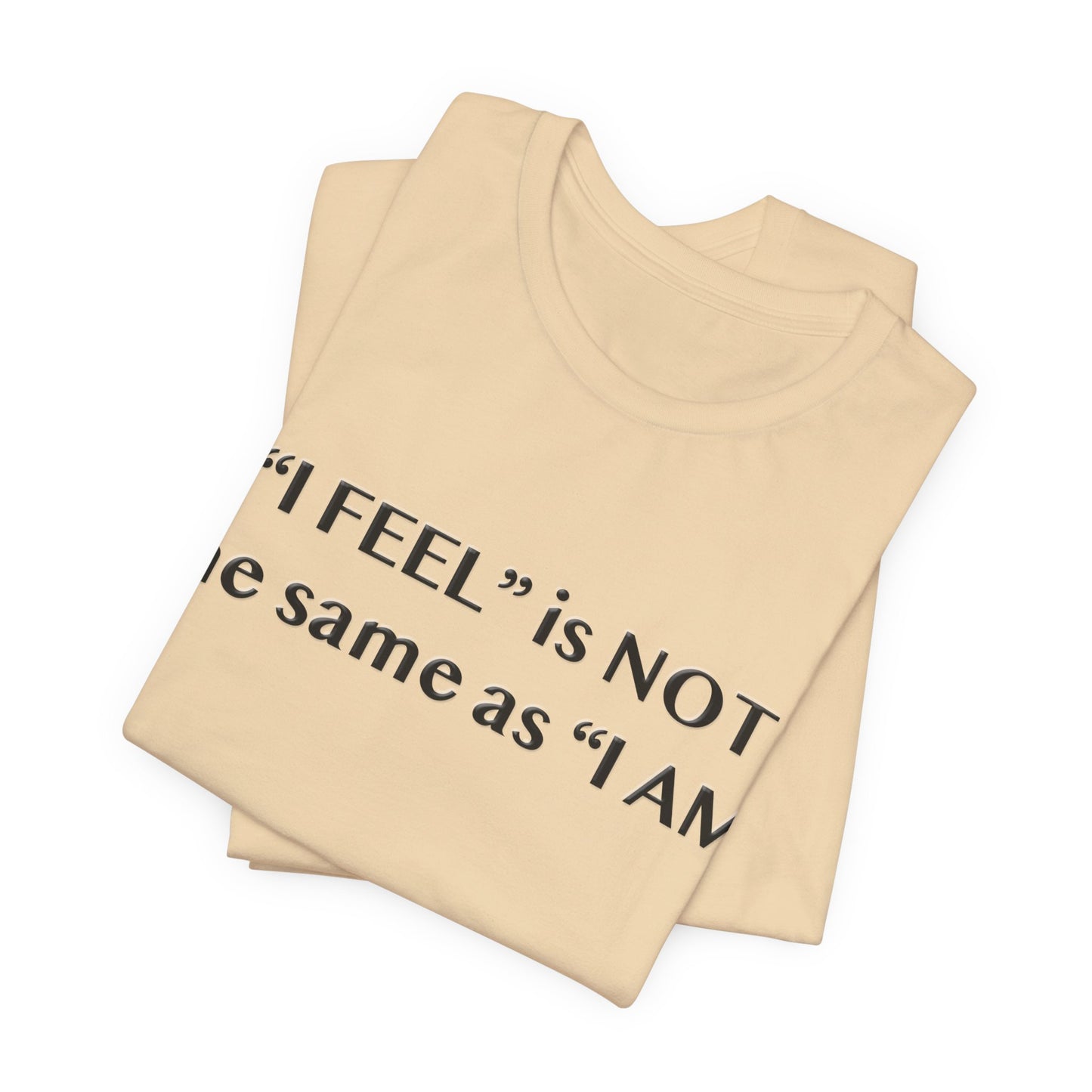 I Feel is Not the same as I Am T-Shirt