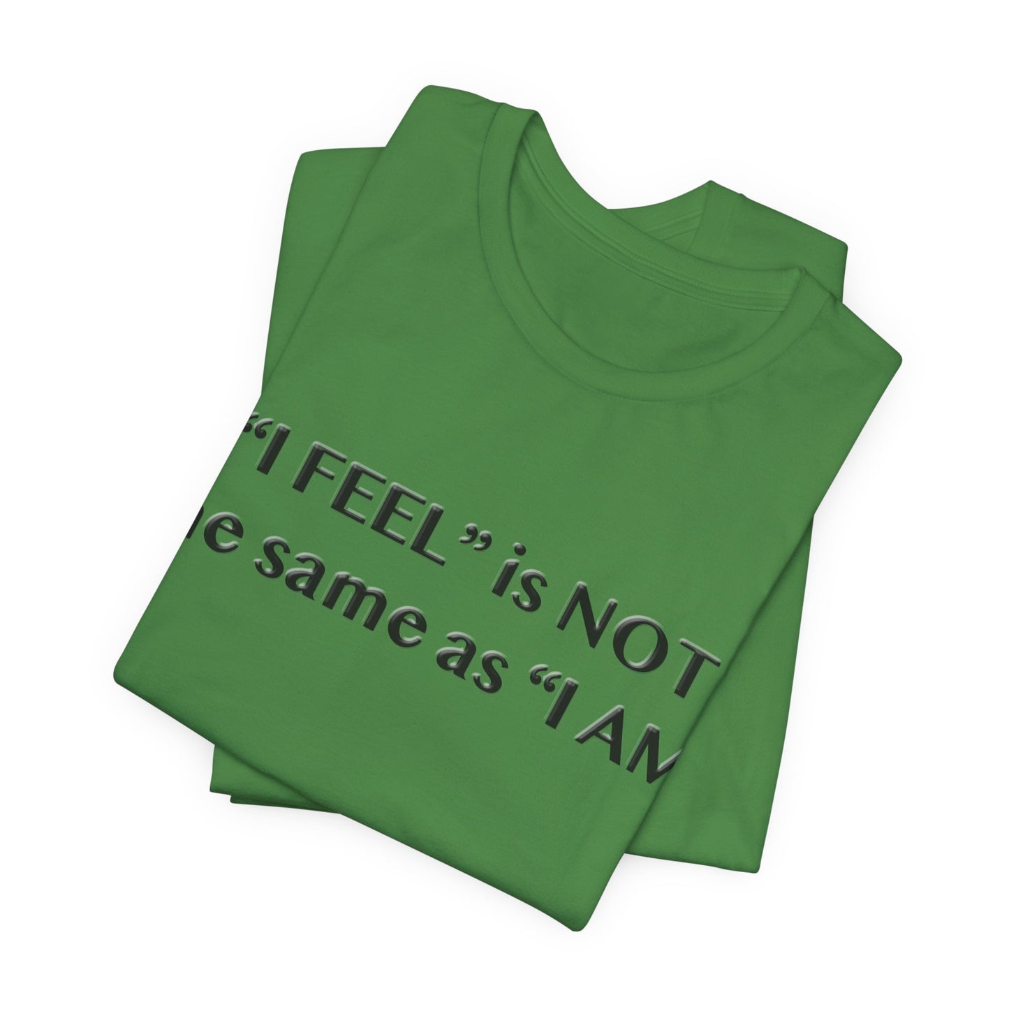 I Feel is Not the same as I Am T-Shirt