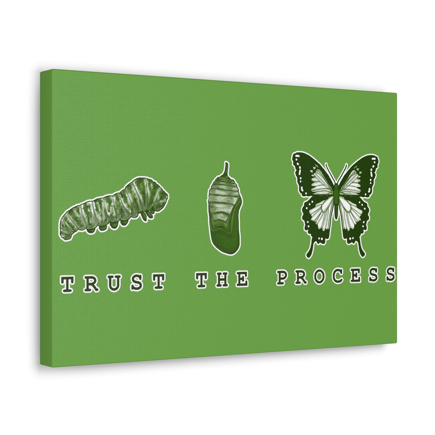 Trust The Process Canvas Gallery Wraps