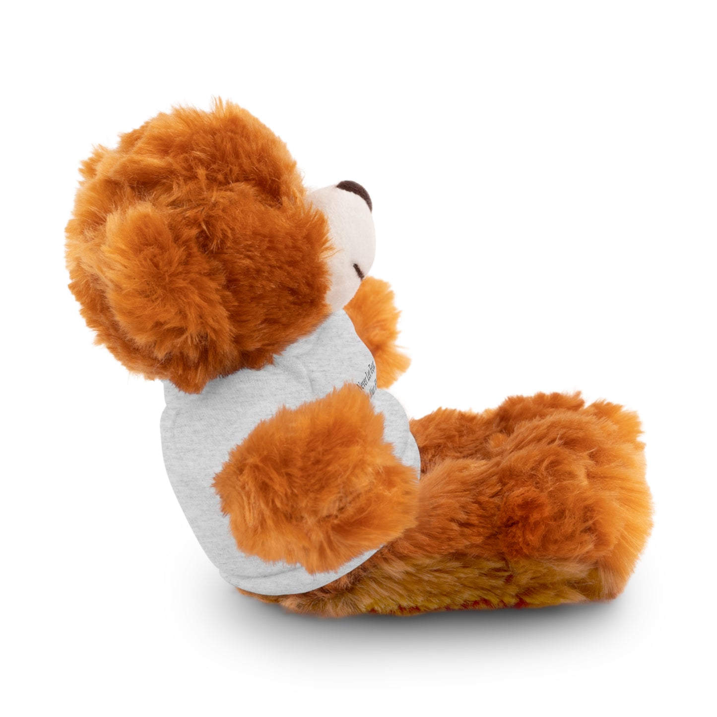 Never Let Fear Decide Your Future Stuffed Animals with Tee