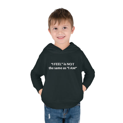 I Feel is Not the same as I Am Toddler Pullover Fleece Hoodie